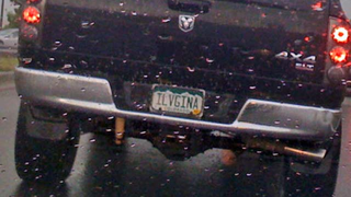 Colorado DMV Hates Tofu, Loves Vagina